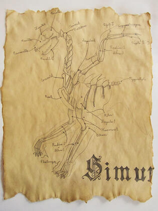 Simurgh Bestiary Page; pencil on tea-stained paper Simurgh Bestiary Page; pencil on tea-stained paper