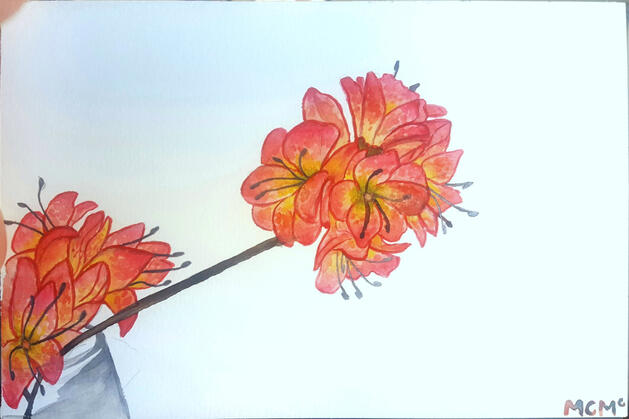 Azalea; watercolor