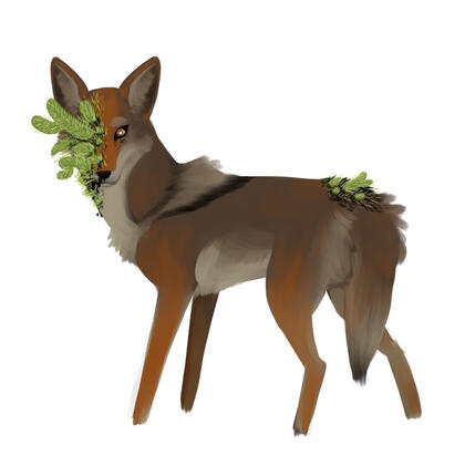 "Coyote", a coyote with some sort of parasitic cactus growing out of its eye and above its tail. "Coyote", a coyote with some sort of parasitic cactus growing out of its eye and above its tail.