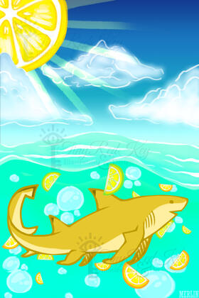 Sicklefin Lemon Shark; a shark illustration for a charity zine.