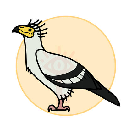 Pharaoh's Chicken; Egyptian Vulture graphic design